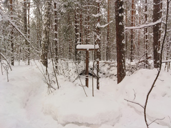 �������� ����