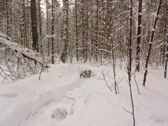 �������� �����